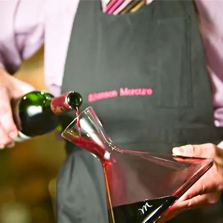 Mercure Parkhotel * بوروسيا مونشنغلادباخ