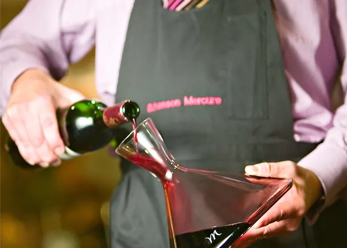 Mercure Parkhotel * 门兴格拉德巴赫